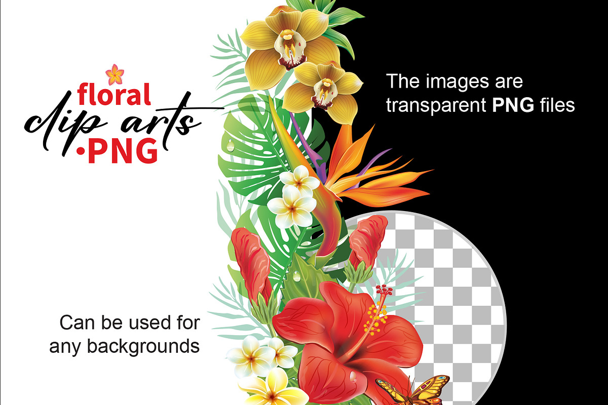 Tropical floral arrangements, a Seasonal Illustration by ViktoriaARTprint (Photo 7 of 8)
