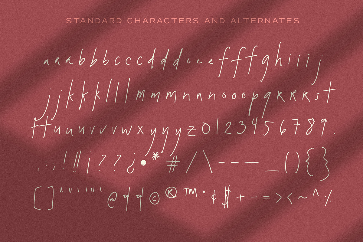 blythe | genuine handwritten font, a Script Font by Blythe Green (Photo 16 of 16)