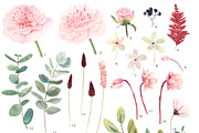 Watercolor peony and eucalyptus, a Decorative Illustration by marie dricot (Thumbnail 8 of 11)