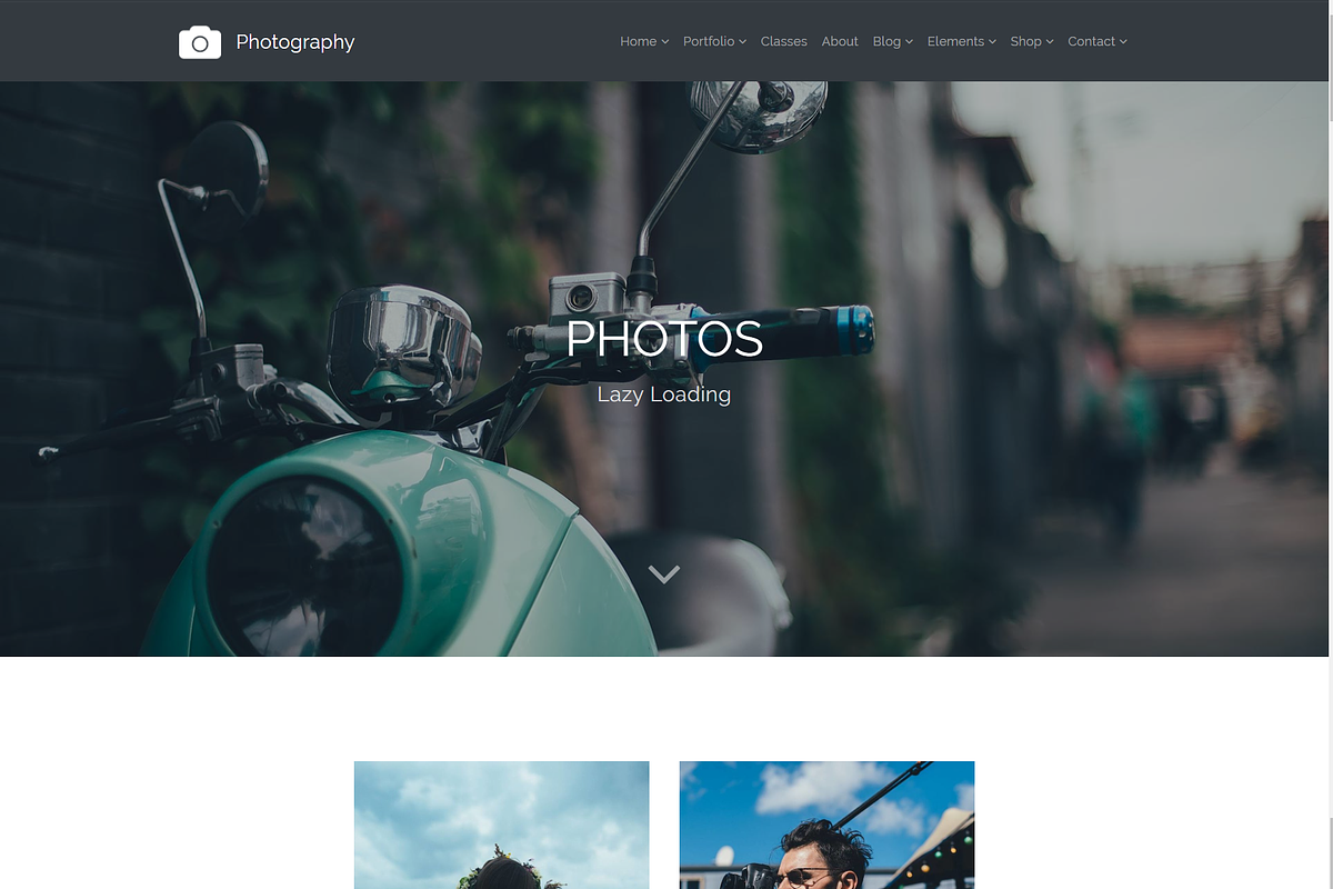 Photography Gallery WordPress Theme, a WordPress Template by Visualmodo (Photo 15 of 21)