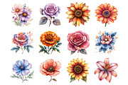 Summer Folk Florals Botanicals, an Illustration by Design Market (Thumbnail 3 of 3)