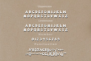 Coowel Groovy Retro font, a Serif Font by Bayuktx (Thumbnail 3 of 5)