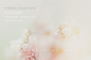 Hazy Botanical Vellum Backgrounds, a Graphic by DigitalDream (Thumbnail 2 of 9)