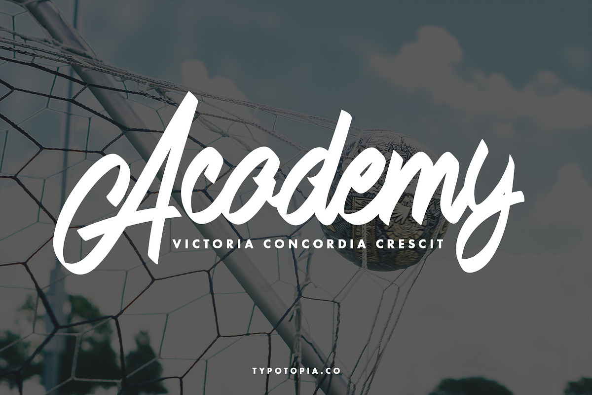 Andals Script Typeface, a Script Font by edukka (Photo 5 of 7)