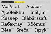 TT Bakers, a Serif Font by TypeType (Thumbnail 7 of 15)