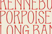 Mimi, a Serif Font by Abby Swain Design (Thumbnail 8 of 12)