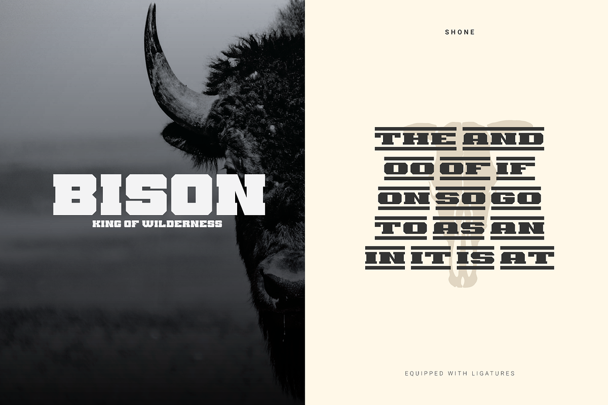 Shone, a Slab Serif Font by Linecreative (Photo 8 of 10)