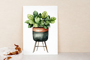 Watercolor Home Plants Clipart, an Illustration by Libby Wishes (Thumbnail 2 of 7)