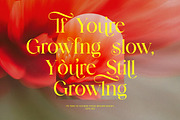 Barklie - A Nostalgic Serif Typeface, a Serif Font by Brand Earth (Thumbnail 6 of 8)