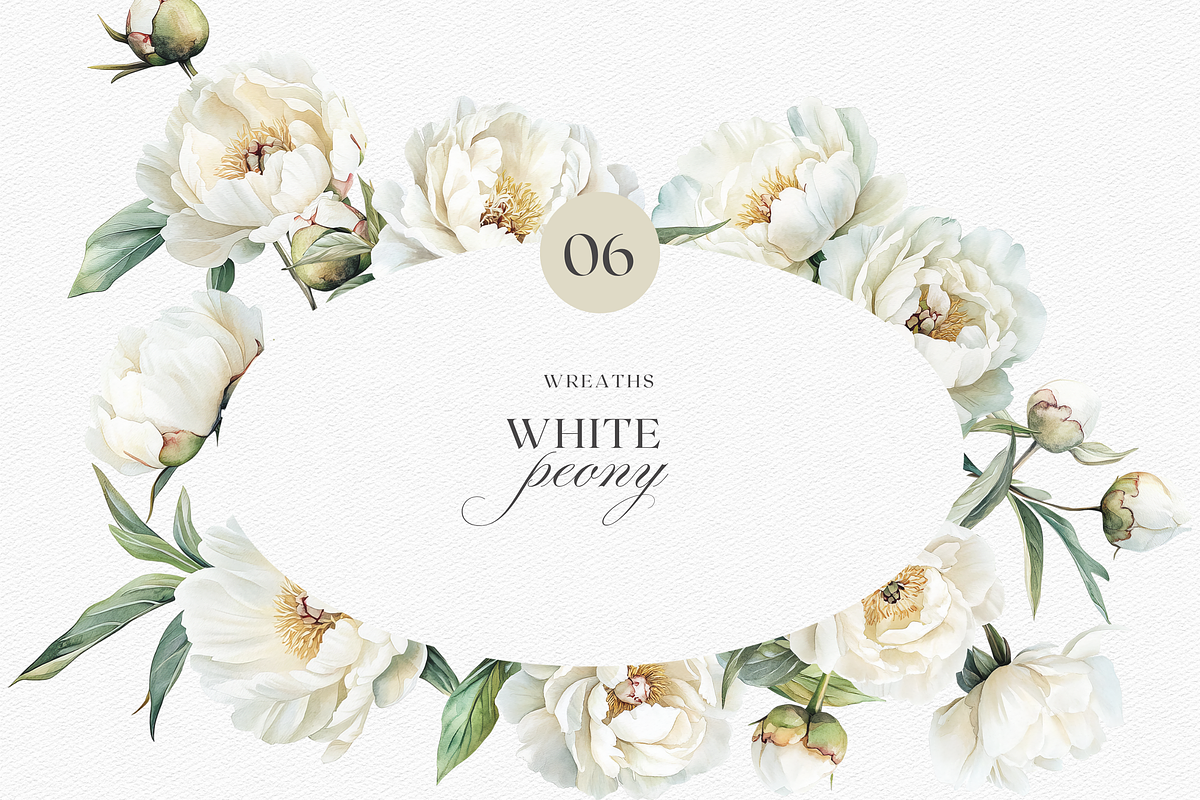 White Peony Watercolor, a Decorative Illustration by ThaismotaCreativeCo (Photo 5 of 10)
