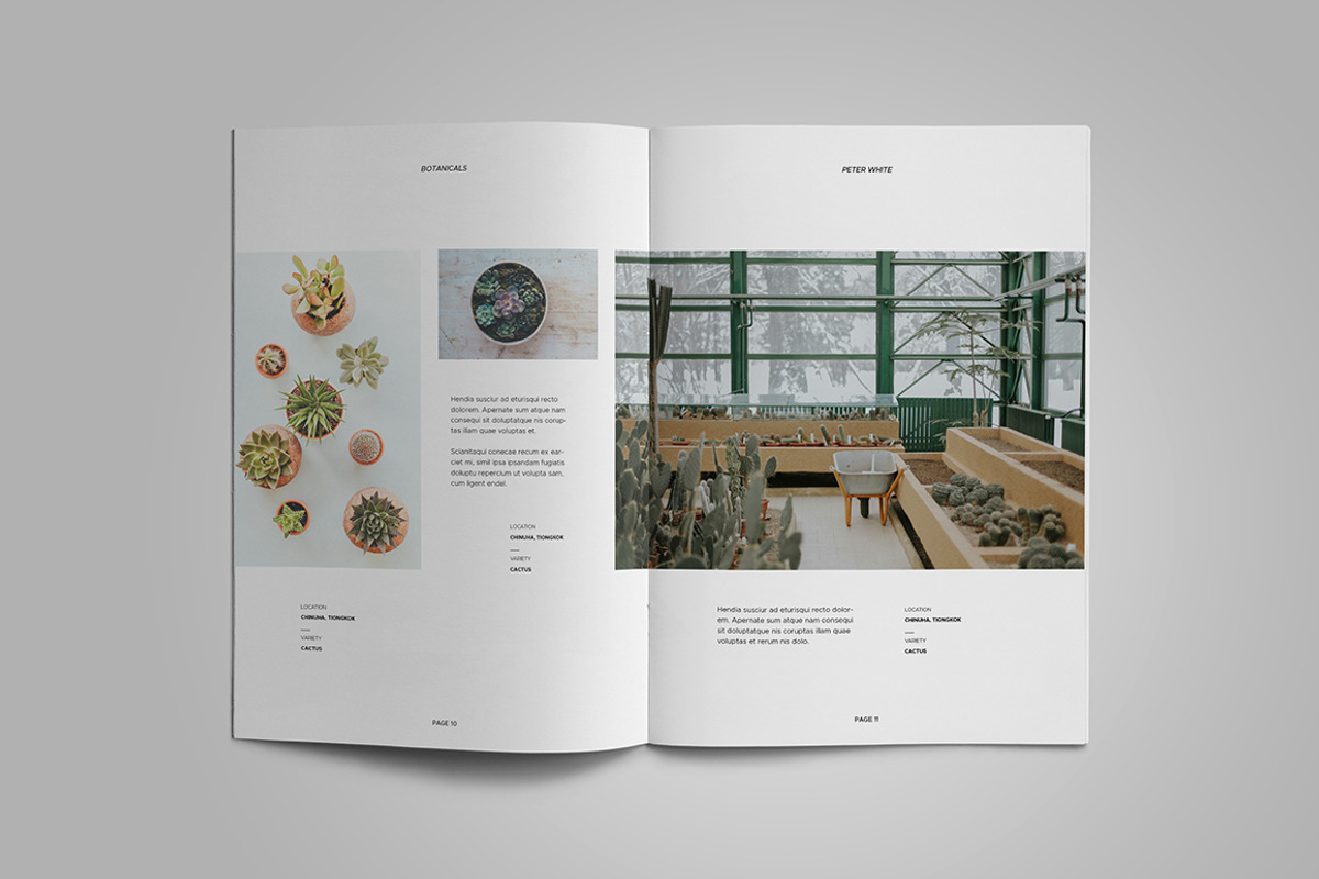 A5 Portfolio, a Brochure Template by Meenom Templates (Photo 6 of 17)