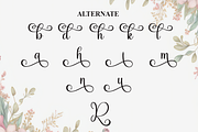 Radiant | Script Font, a Handwritten Font by Scratchones (Thumbnail 8 of 9)