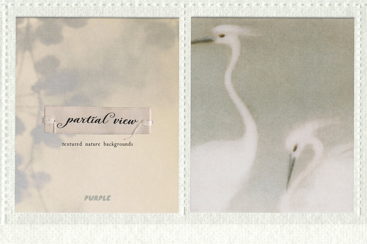 Partial View - Nature Backgrounds, a Background Graphic by Purple (Photo 7 of 12)