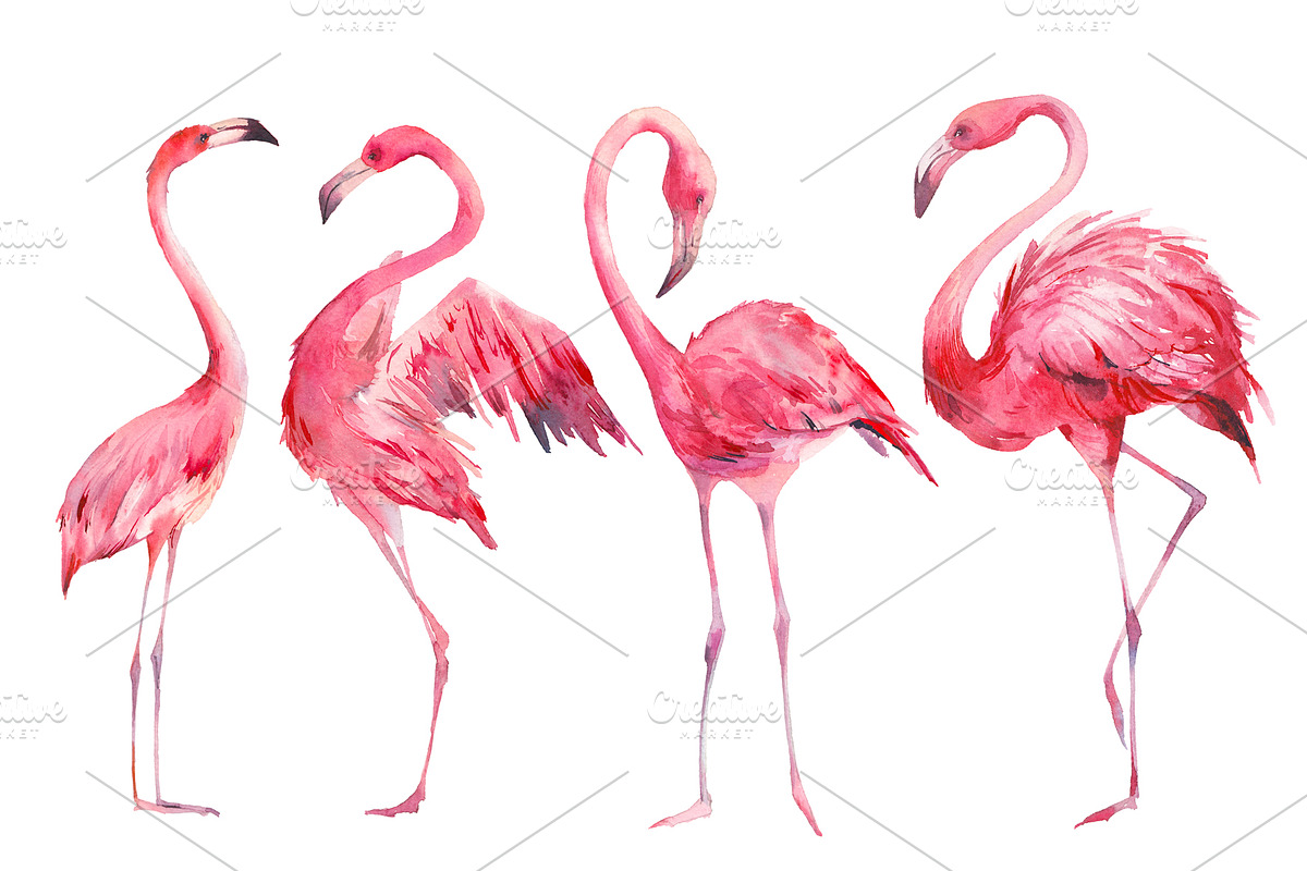 Flamingo, an Object Illustration by Eisfrei (Photo 2 of 4)