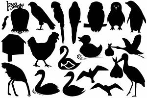 Different Types Of Birds