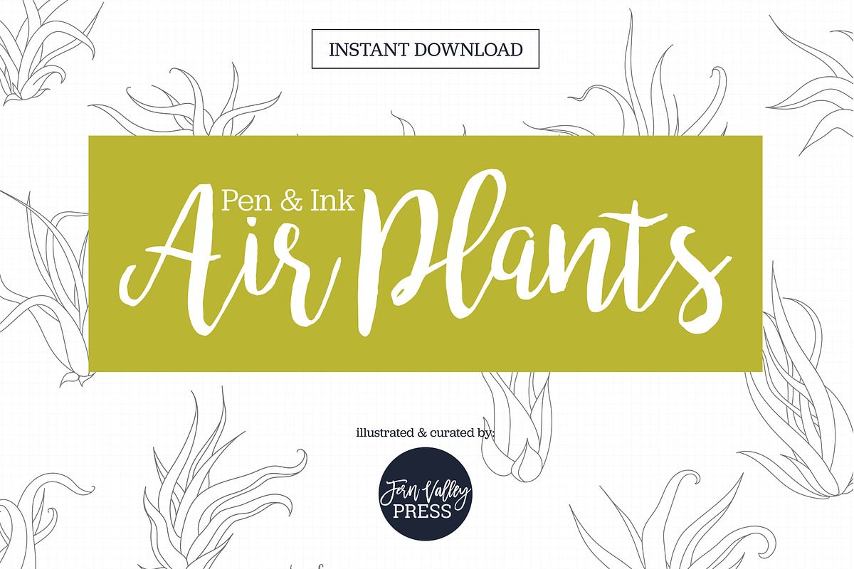 Air Plant Ink Illustration Set, an Illustration by Hannah Eliza Studio (Photo 1 of 5)