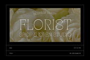 Palaise - Display Serif Typeface, a Serif Font by Craft Supply Co. (Thumbnail 3 of 8)