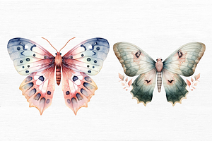 Watercolor Mystical Moth Clipart