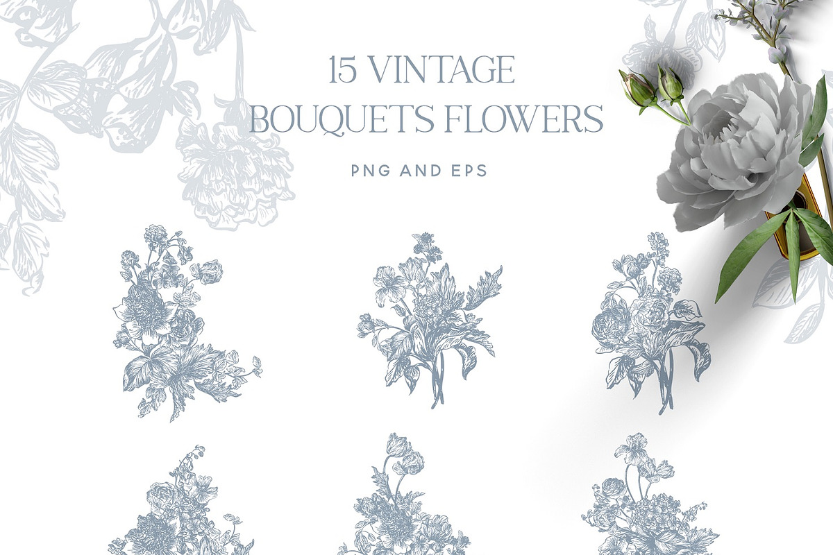 Vintage Line Art Flowers clipart, a Decorative Illustration by BlumenSoul (Photo 2 of 10)