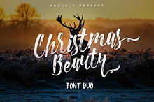 Christmas Beauty + Swashes