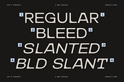 403 Sparco, a Sans Serif Font by 403 Type Foundry (Thumbnail 5 of 13)