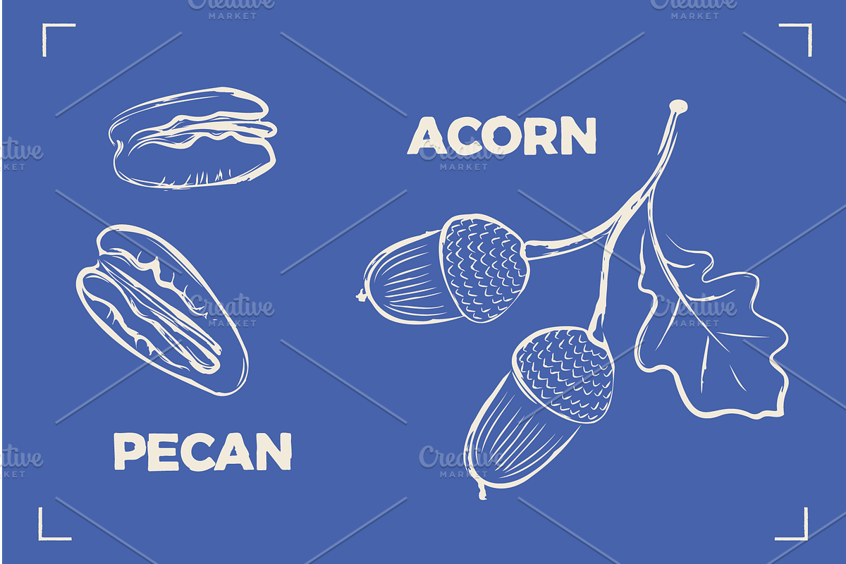 NUTS LINE ART SET (15+ elements), a Food Illustration by Bonfloret Studio (Photo 10 of 10)