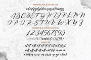 Ruthligos Font, a Handwritten Font by typeline studio (Thumbnail 12 of 12)