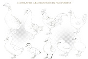 Graphic Farm Birds, an Object Graphic by Budogoshch (Thumbnail 2 of 4)