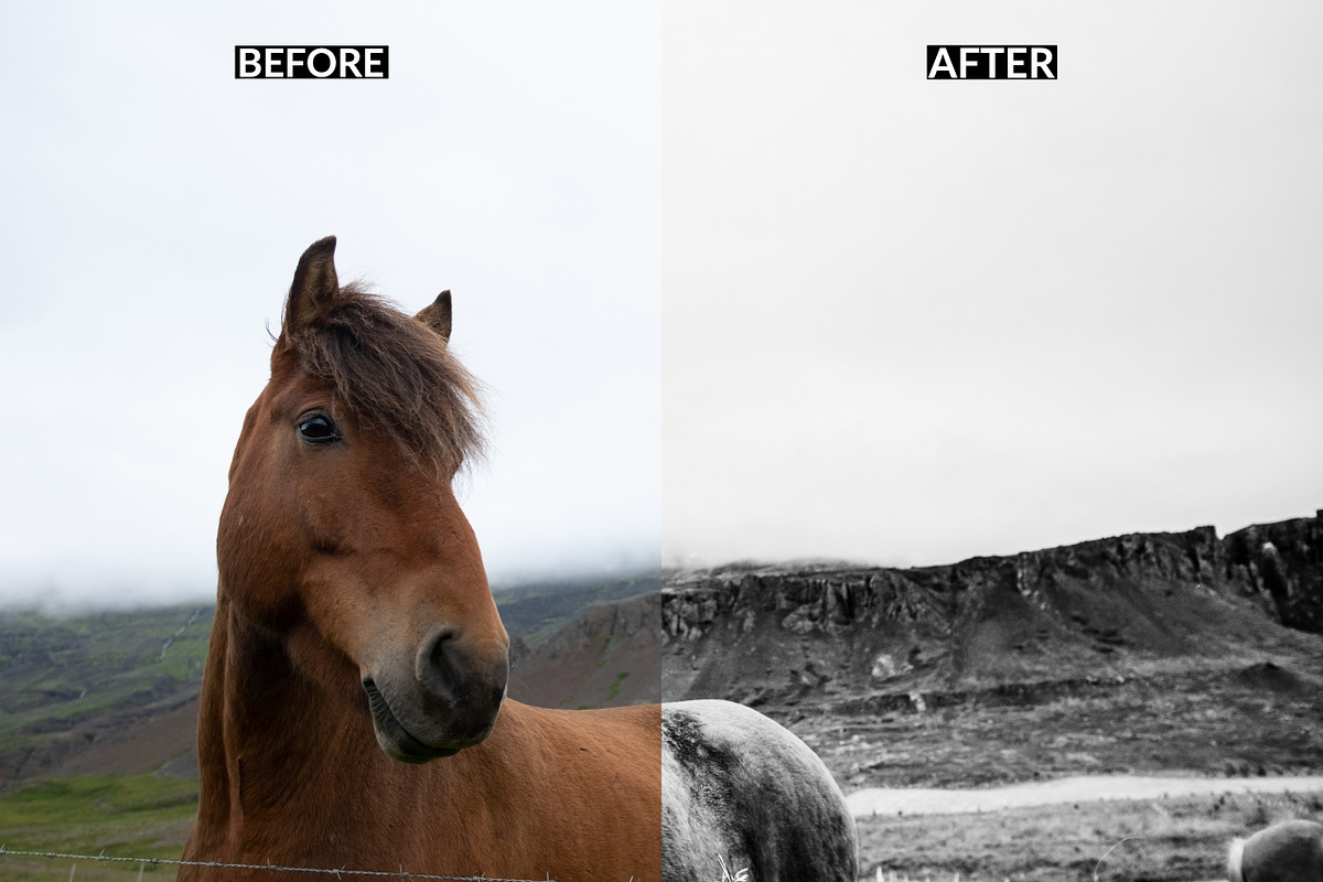 Lightroom Presets: Black & White preview 3