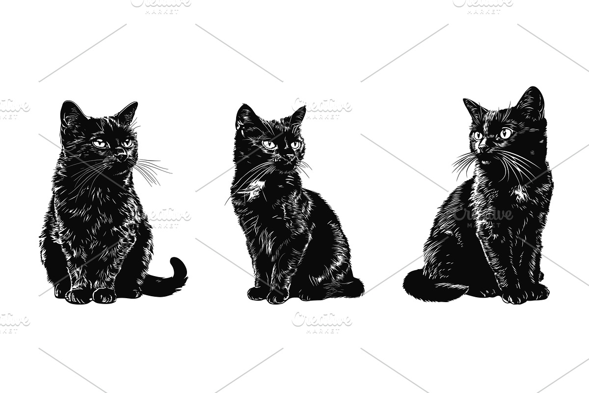 Black cats. Isolated sitting cat, an Object Illustration by Valerie Bodnar
