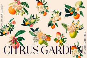 Citrus Garden Floral Set & Poster