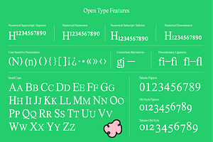 Lastik Font Family 5 Styles