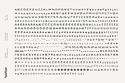 TT Autonomous, a Sans Serif Font by TypeType (Thumbnail 5 of 15)