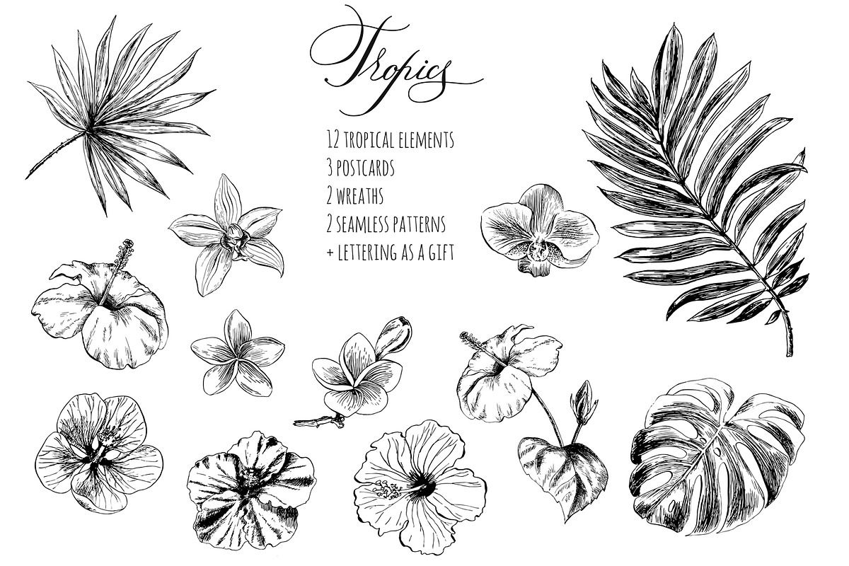 Tropical flowers and leaves, an Illustration by Elena Dorosh (Photo 2 of 7)