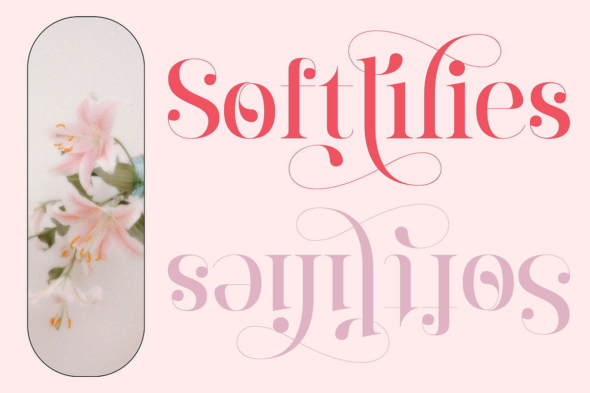 Barfiola Typeface, a Serif Font by MJtypefoundry (Photo 4 of 14)