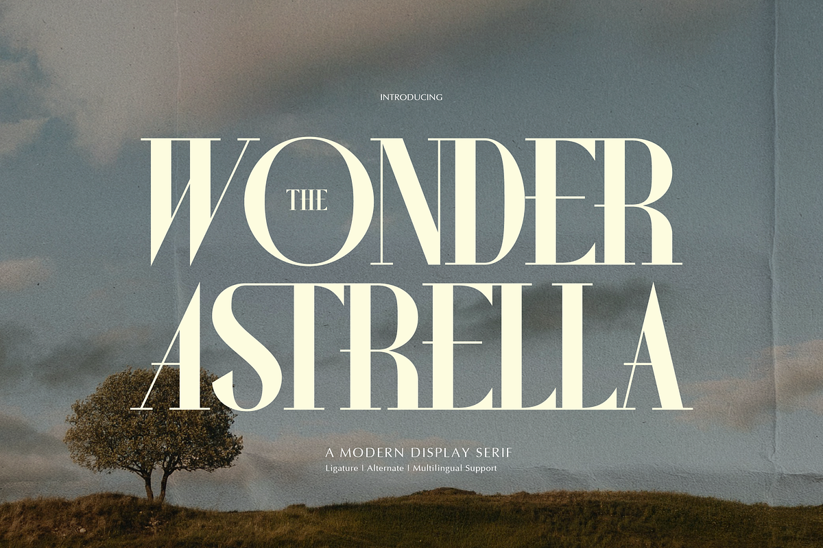 Wonder Astrella Modern Display Serif, a Serif Font by gracetype_studio (Photo 1 of 12)