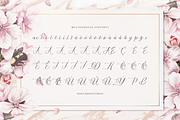 Mielssai | Beauty Chic Font, a Script Font by Denustudios (Thumbnail 12 of 12)