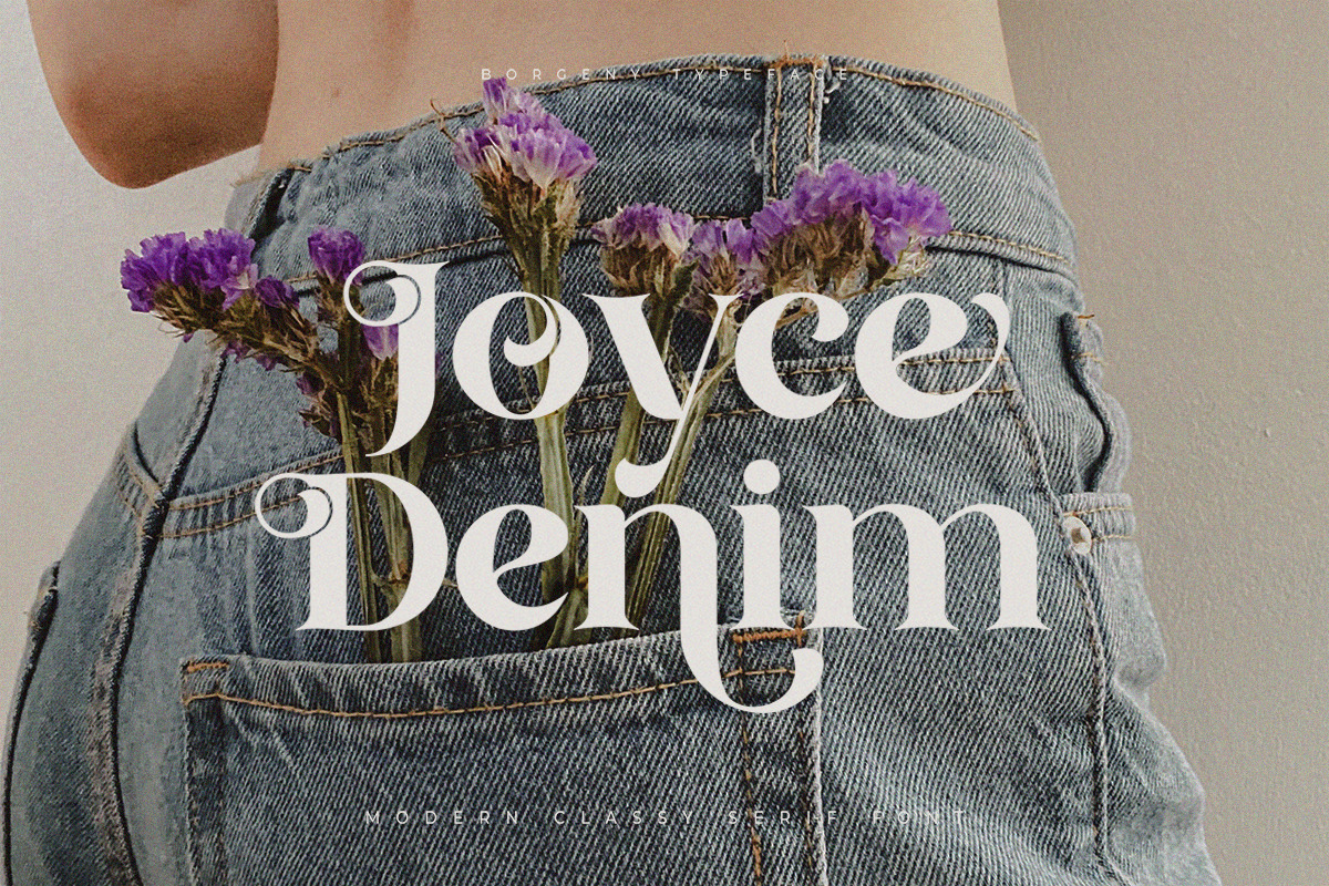 Borgeny | Modern Classy Serif Font, a Serif Font by Pentagonistudio (Photo 8 of 11)