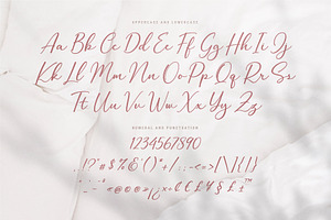 Halegio Modern Calligraphy Font