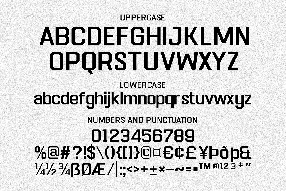 Brionsen, a Font by Novitype (Photo 12 of 13)