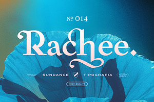 75% Off Rachee Display