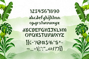 Wonky Monkey - Playfully Quirky Font, a Handwritten Font by HipFonts (Thumbnail 2 of 7)