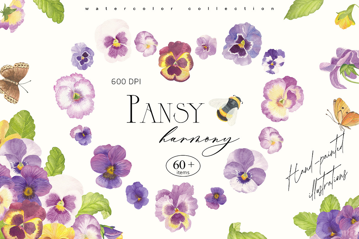 Pansy Watercolor Collection, a Decorative Illustration by Sunshine Art (Photo 1 of 9)