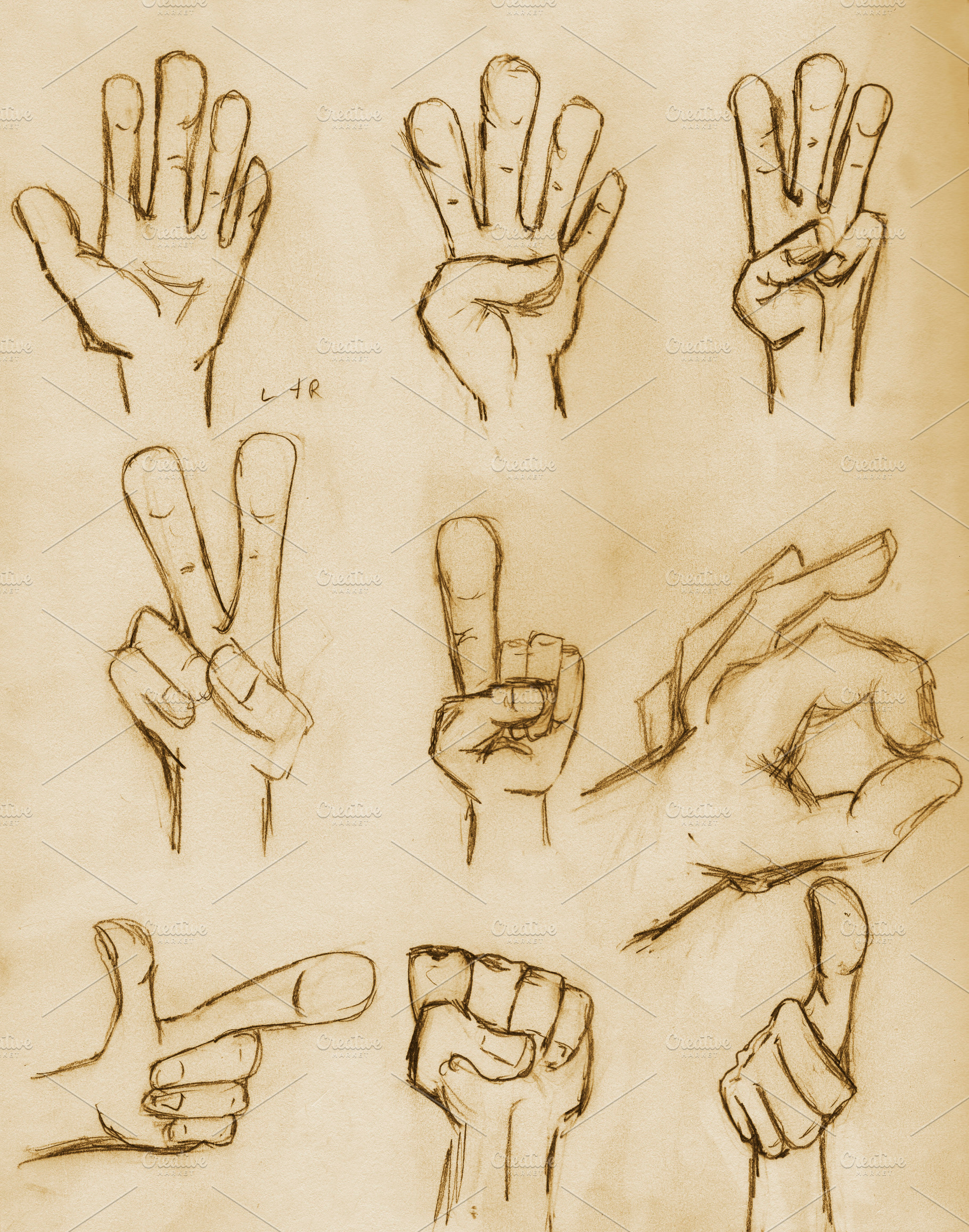 Vintage Pencil Drawn Hands, an Arts & Entertainment Photo by THP Creative