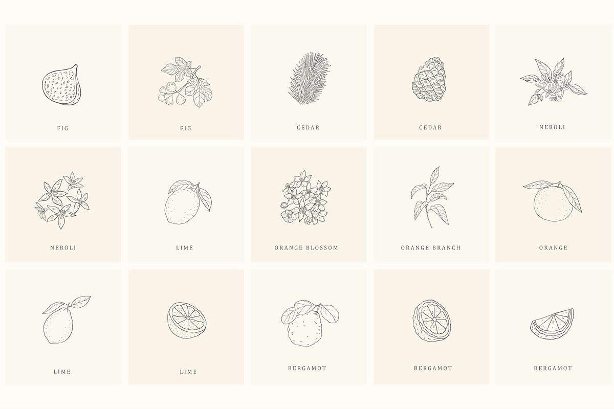 Botanical Hand Drawn Designs, Logos, a Seasonal Illustration by Designwork (Photo 22 of 22)
