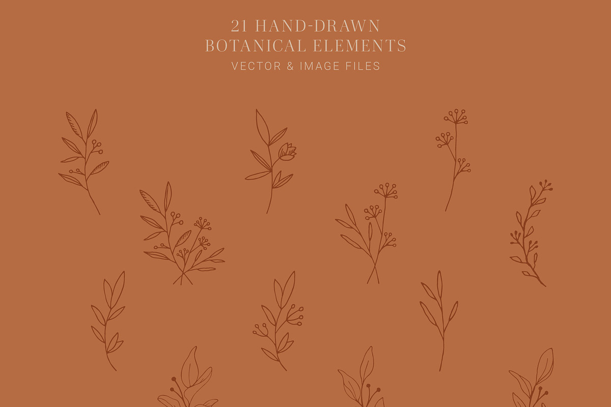 Floral Elements Curated Collection, a Decorative Illustration by Pigment Café (Photo 2 of 8)