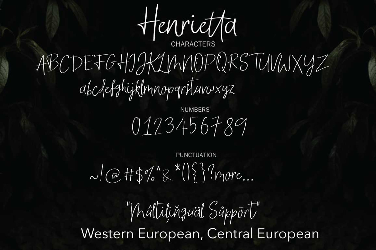New! Henrietta | Signature Font preview 6