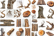 Wood - 163 images, a Nature Photo by Handmadefont (Thumbnail 8 of 25)