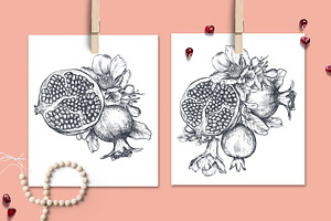 Pomegranate Fruit Vector Set