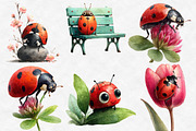 Watercolor Spring Ladybug Clipart, an Illustration by Designworld (Thumbnail 3 of 6)